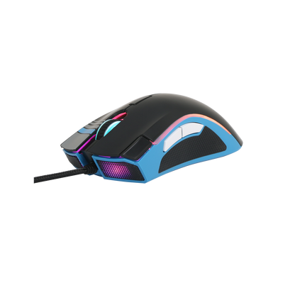 R6-MS-1000