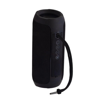 DRUMBEATS X TWS WIRELESS BT SPEAKER